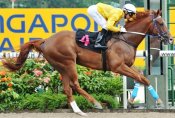 Huka Falls is expected to take plenty of beating.<br>Photo by Singapore Turf Club